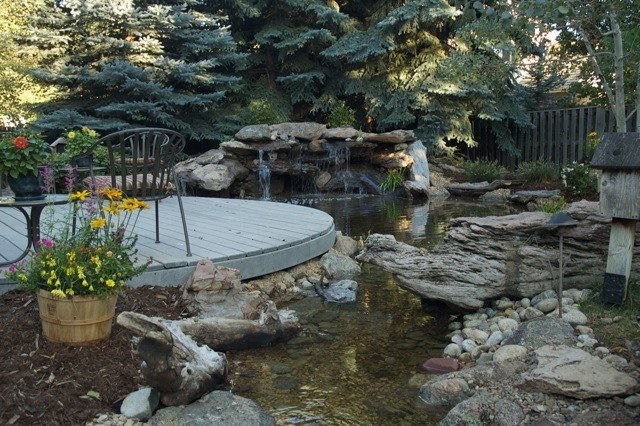 Backyard Oasis in Littleton