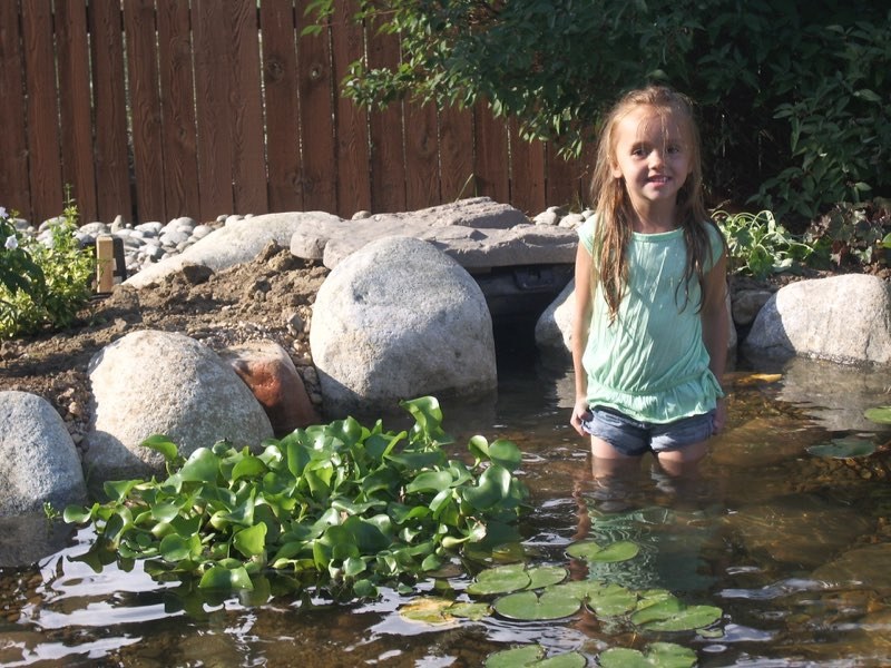 Westminster  Pond