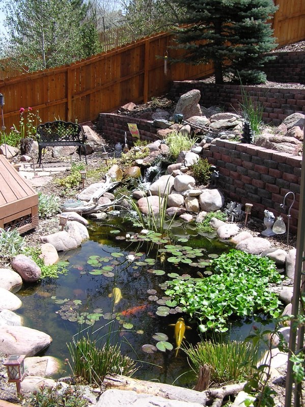 Cherry Hills Pondless