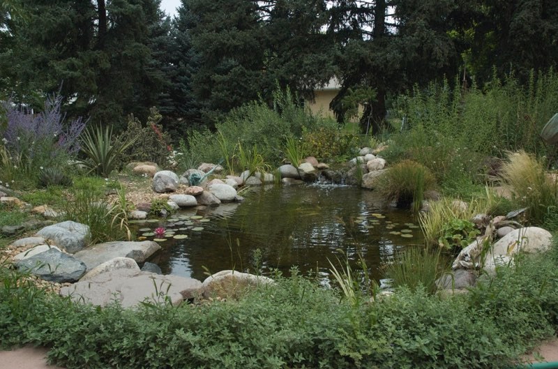 Denver Pond