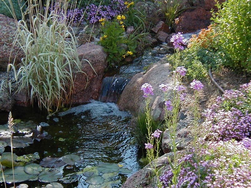 Arvada Pond