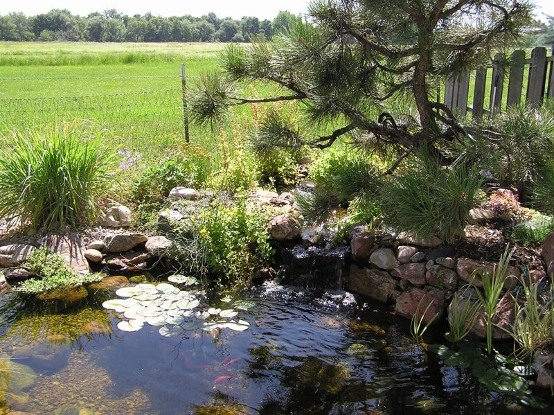 Boulder Pond