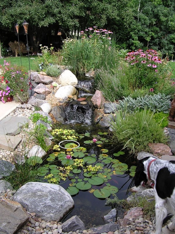 Boulder Pond