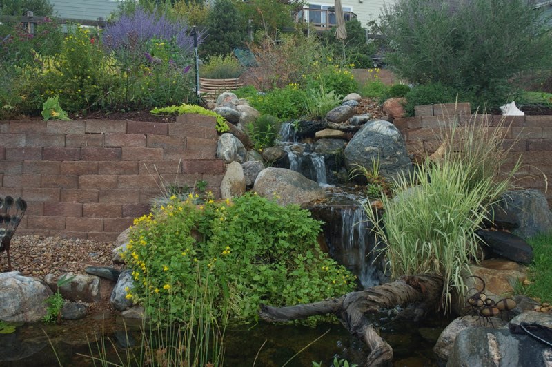 Golden Pond & Stream