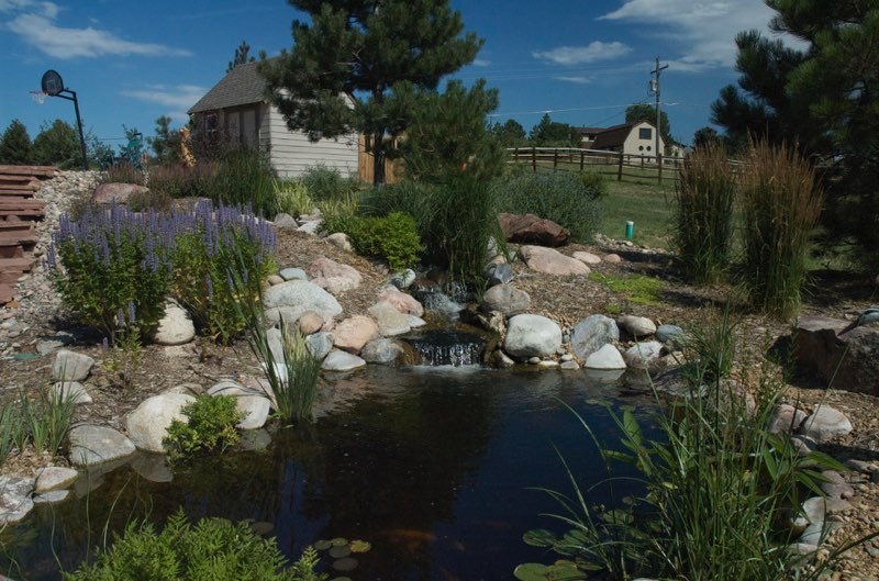 Castle Rock Pond and Stream