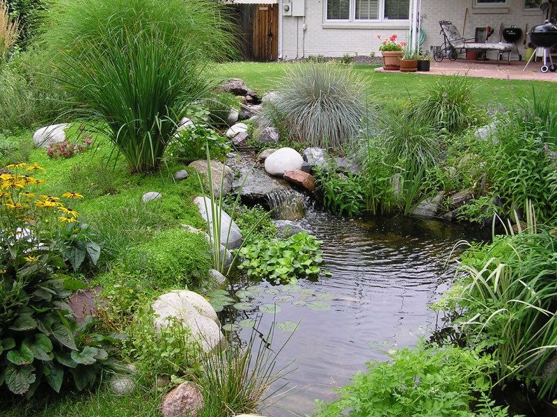 Denver Pond
