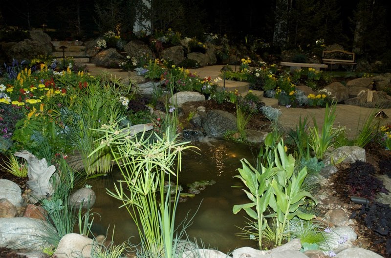 Golden Pondless