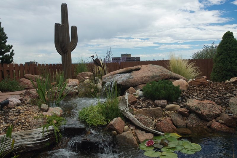 Erie Pondless