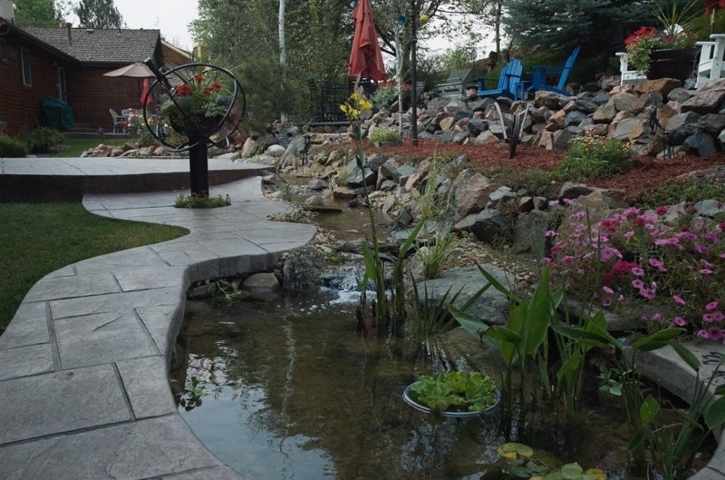 Pond with a Garden Kaleidoscope