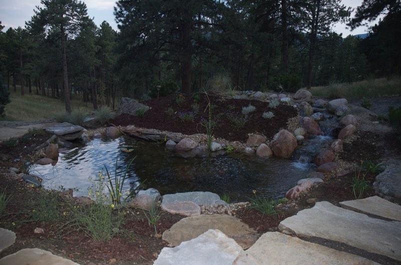 Arvada Stream Flowing into a Pond