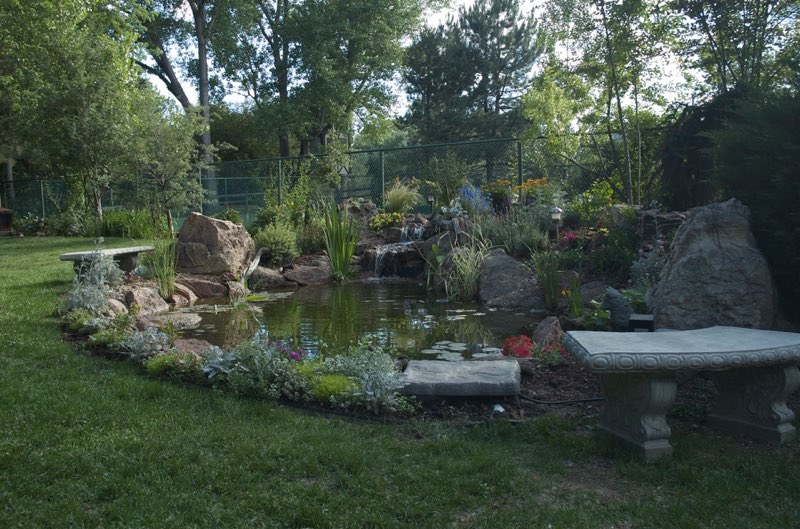 Englewood Pond