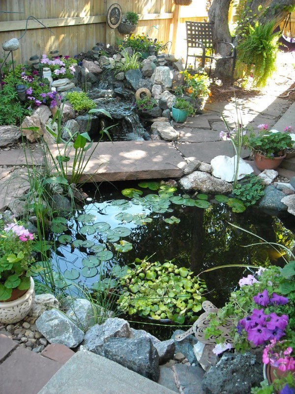 Pond with a Garden Kaleidoscope