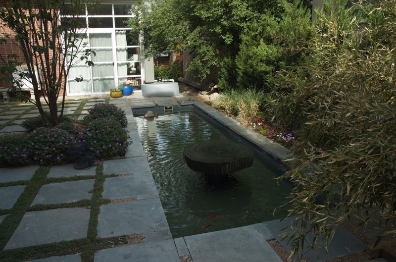 Denver Pond