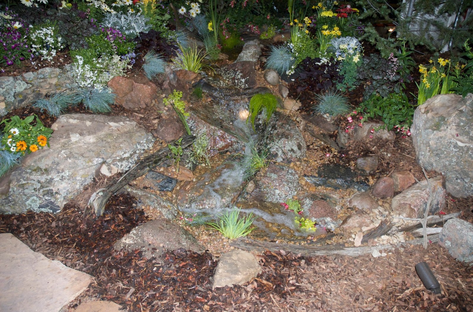 Golden Pondless