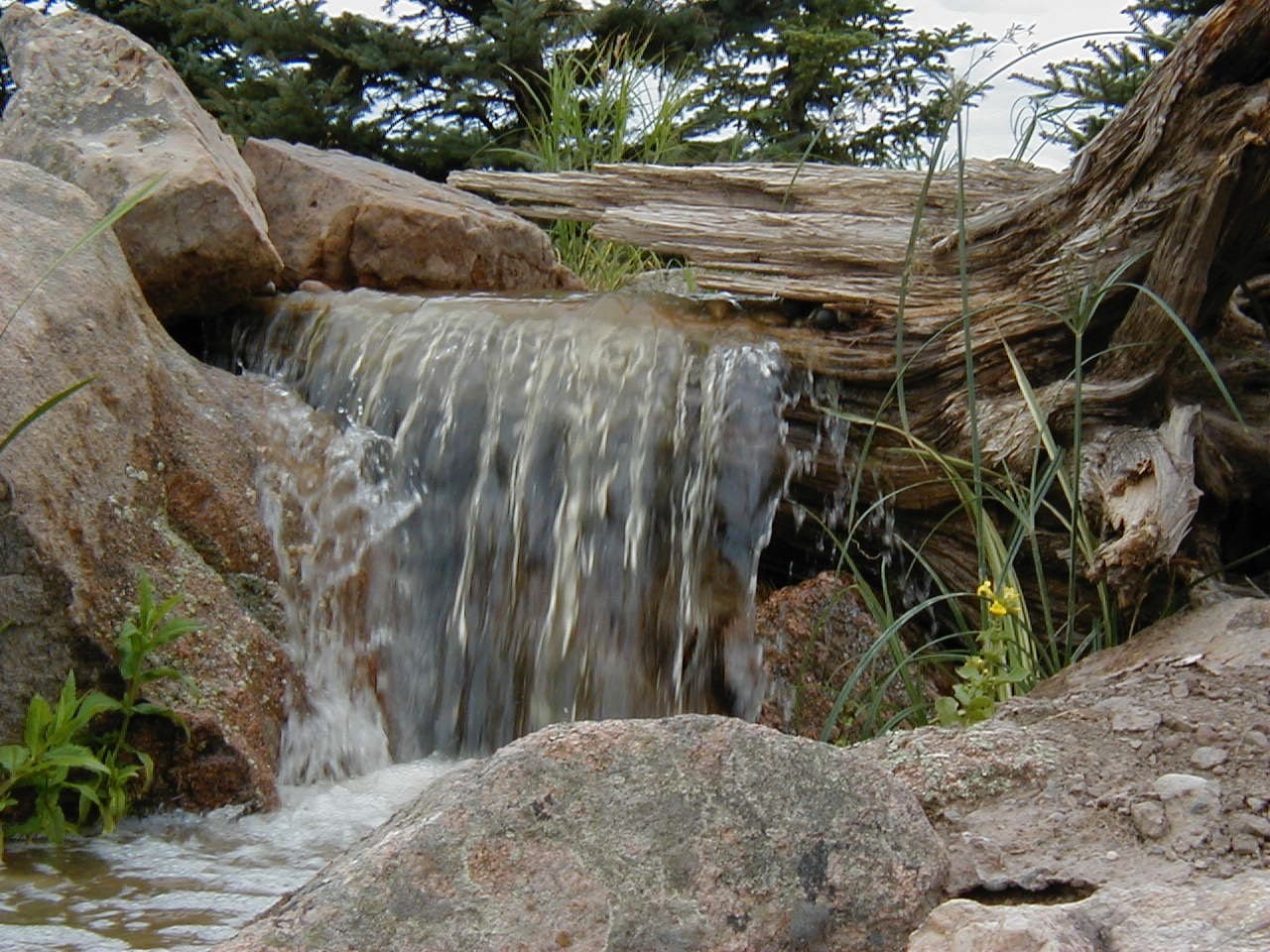 Arvada Pondless