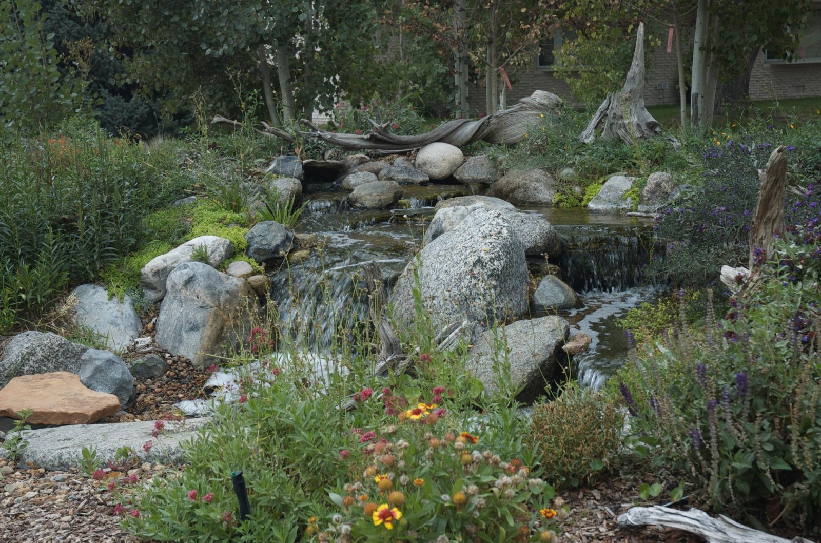 Littleton Pondless