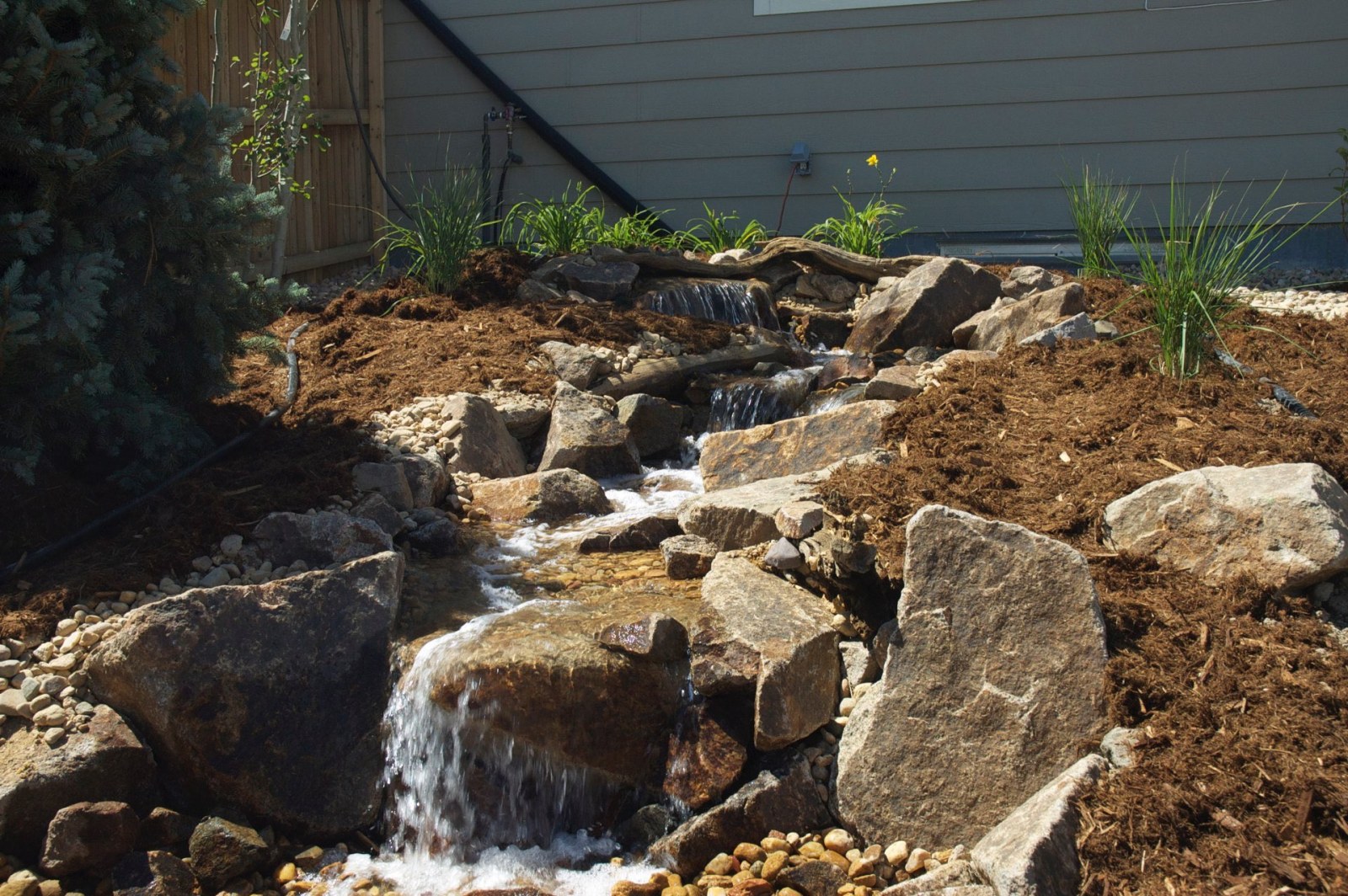 Parker Pondless