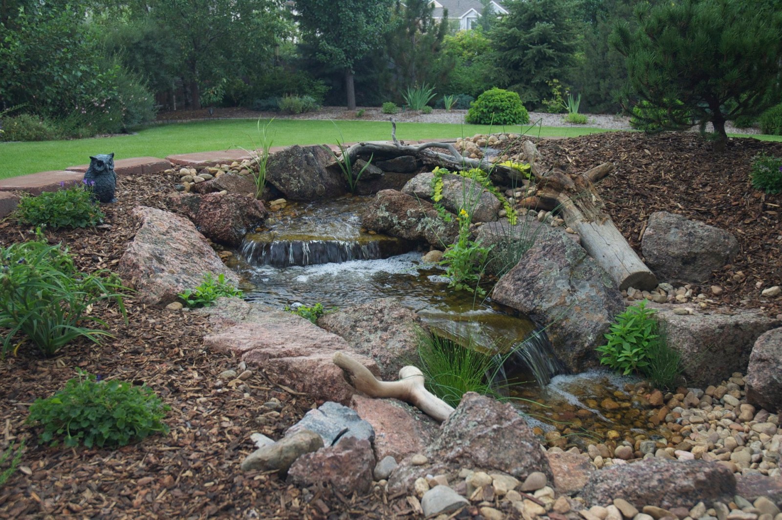 Arvada Pondless