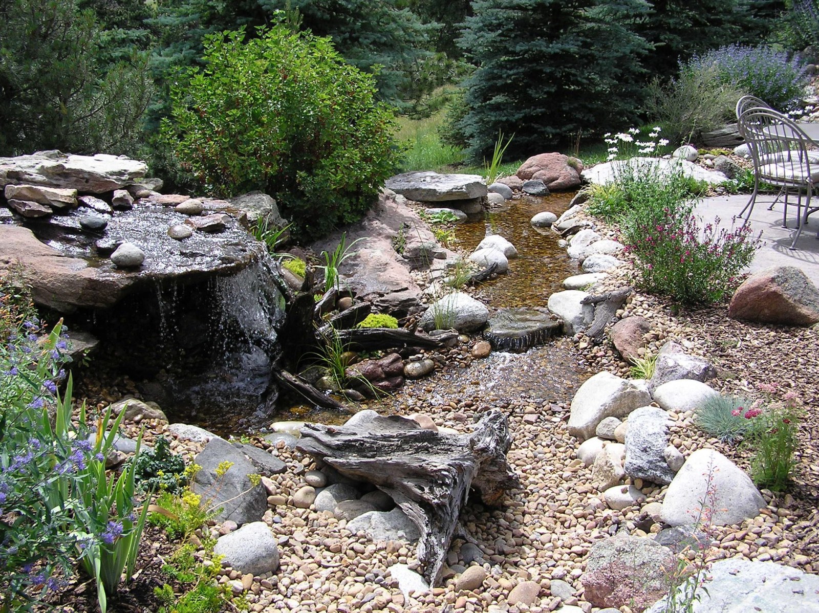 Castle Pines North Pondless