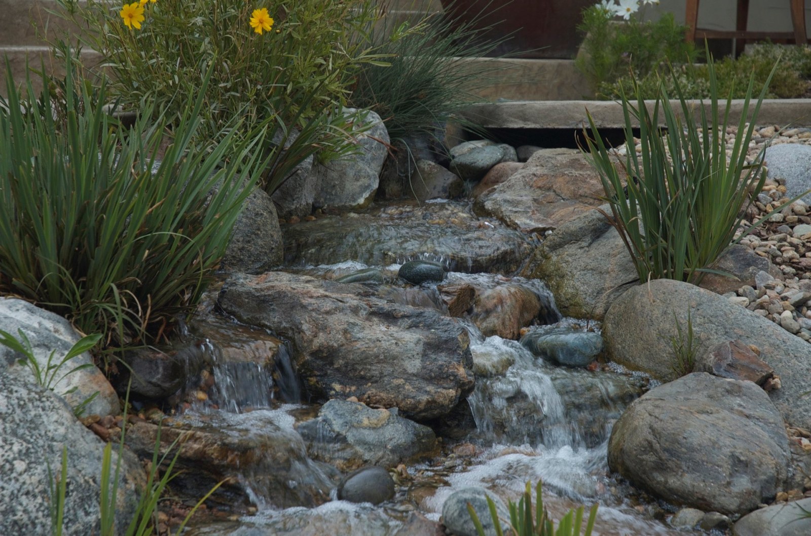 Castle Pines North Pondless