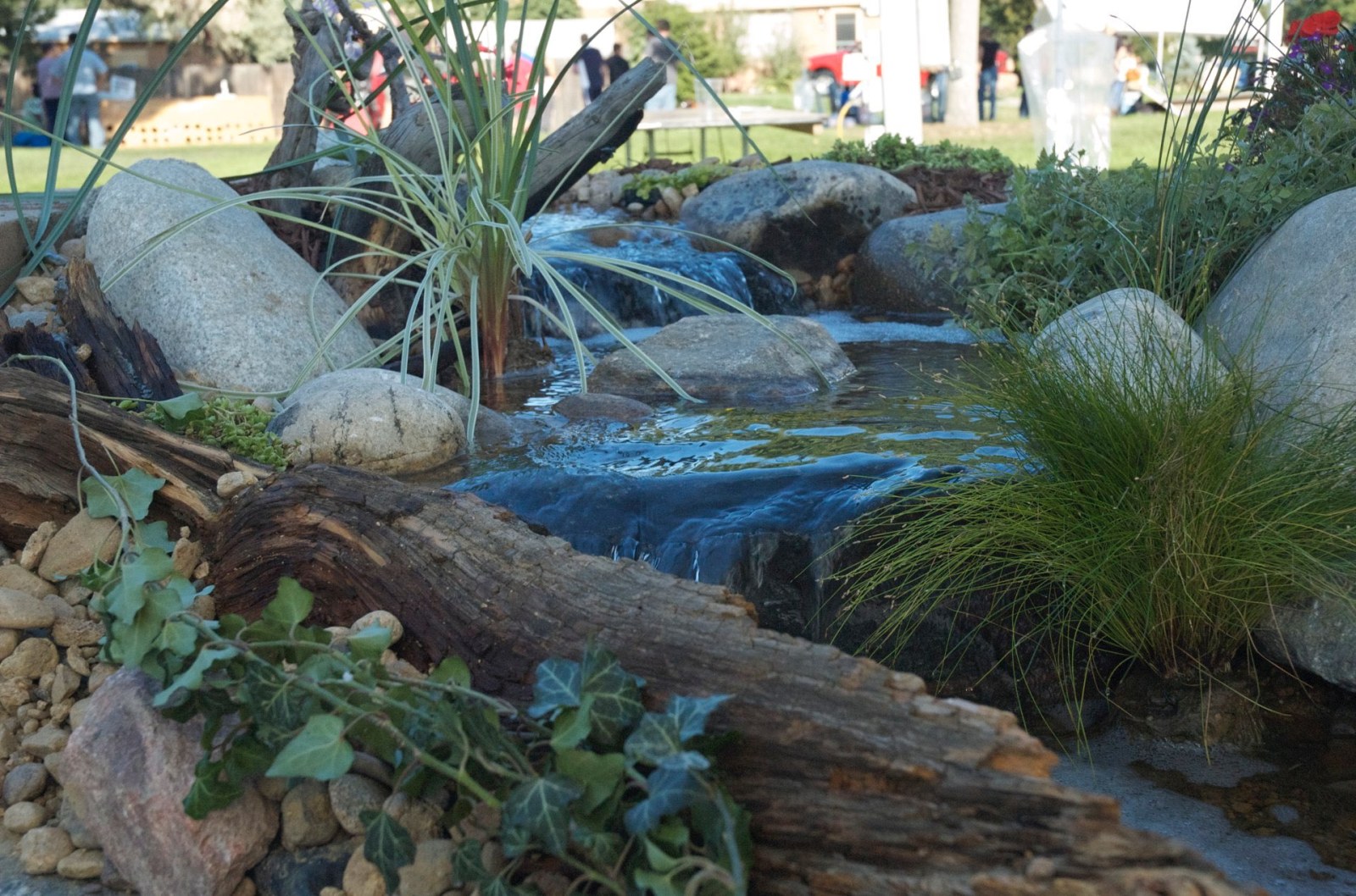 Broomfield Days Pondless