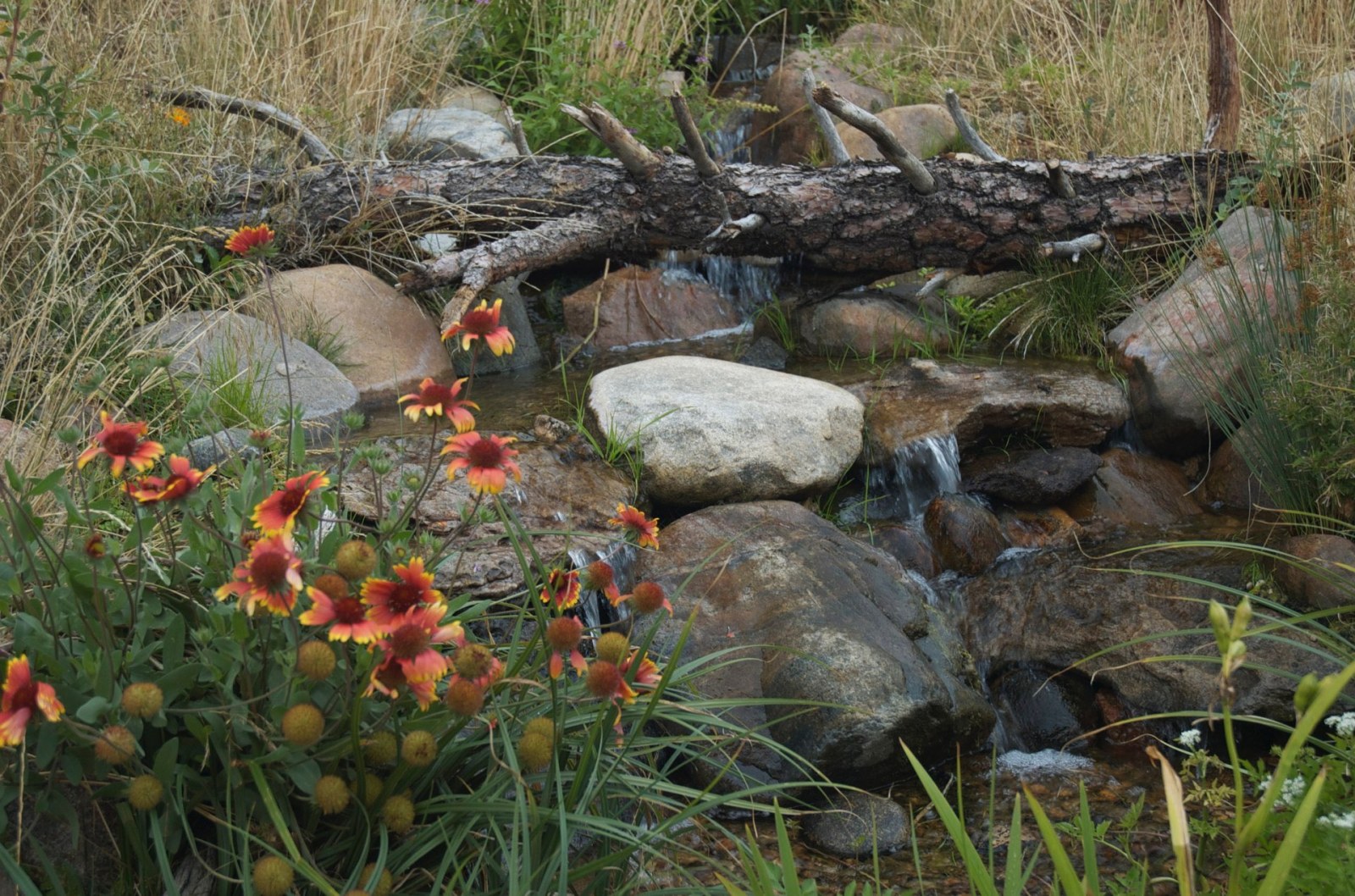 Littleton Pondless