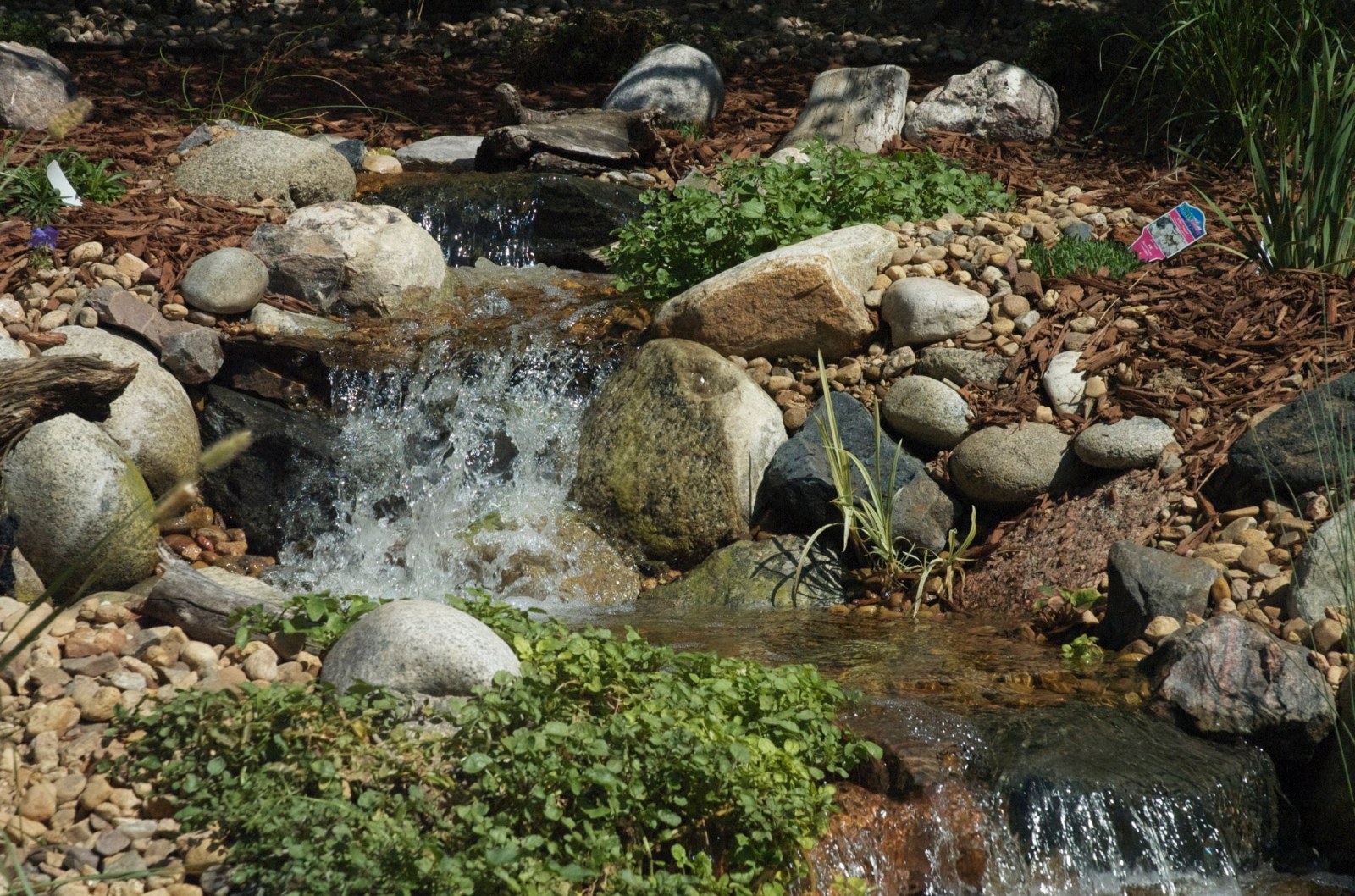 Boulder Pondless