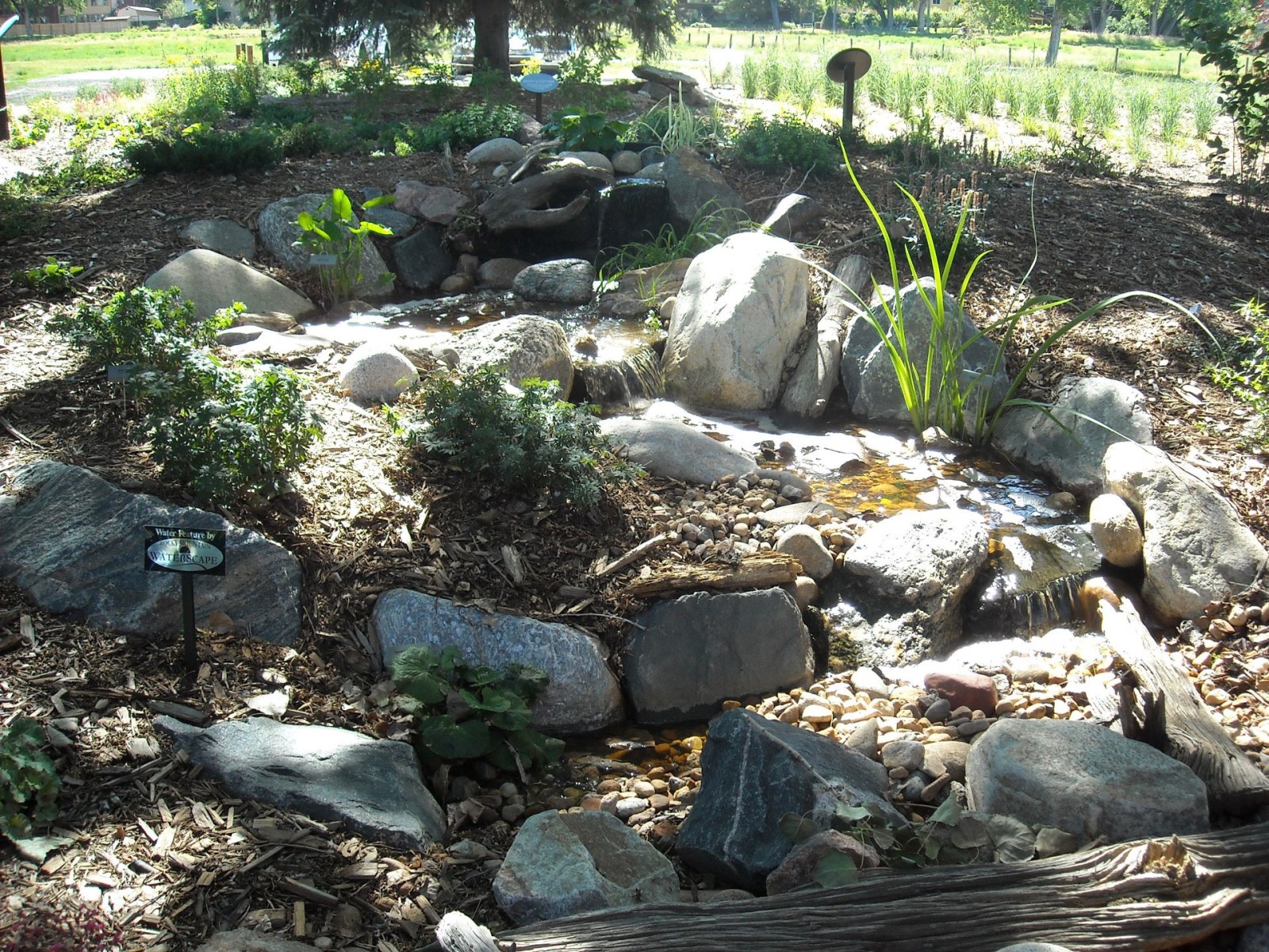 Erie Pondless