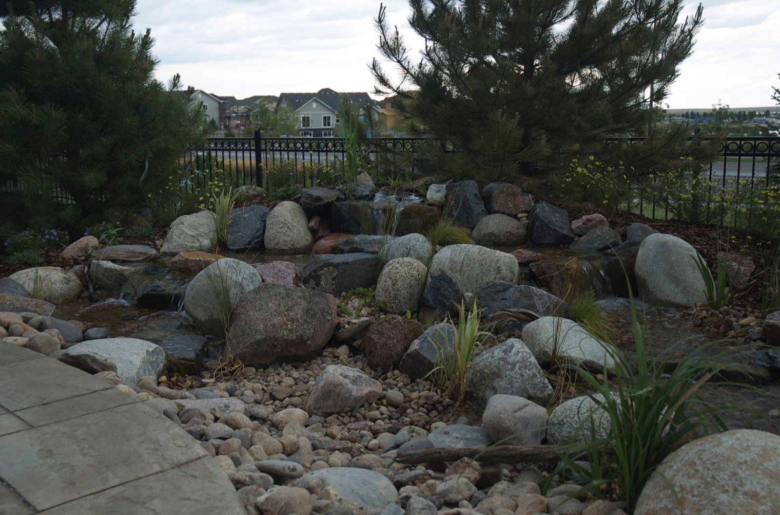 Parker Pondless