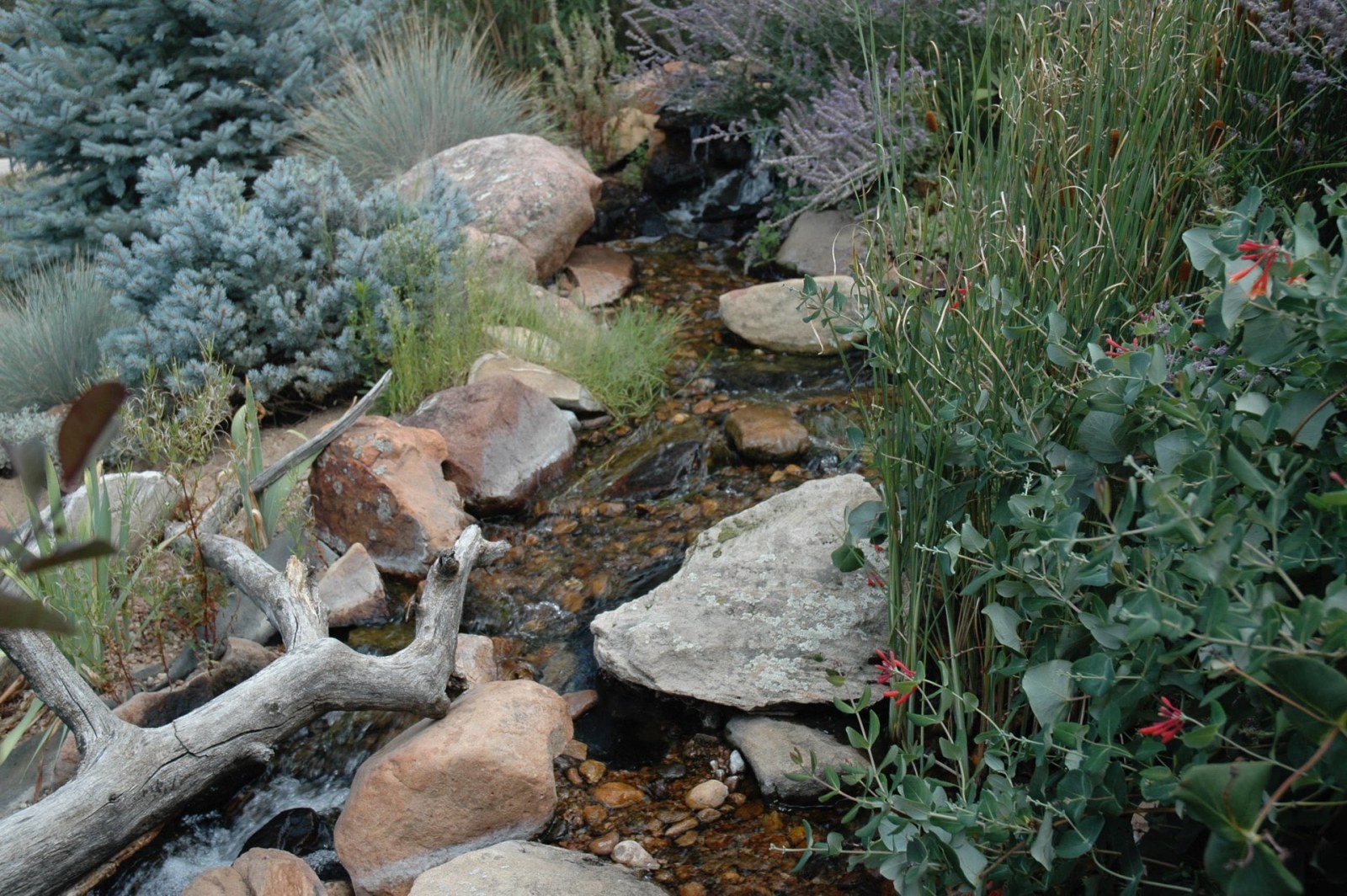 Littleton Pondless