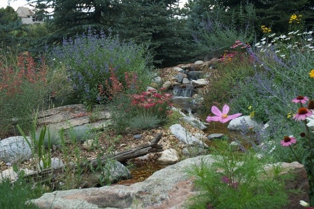 Genesee Pondless