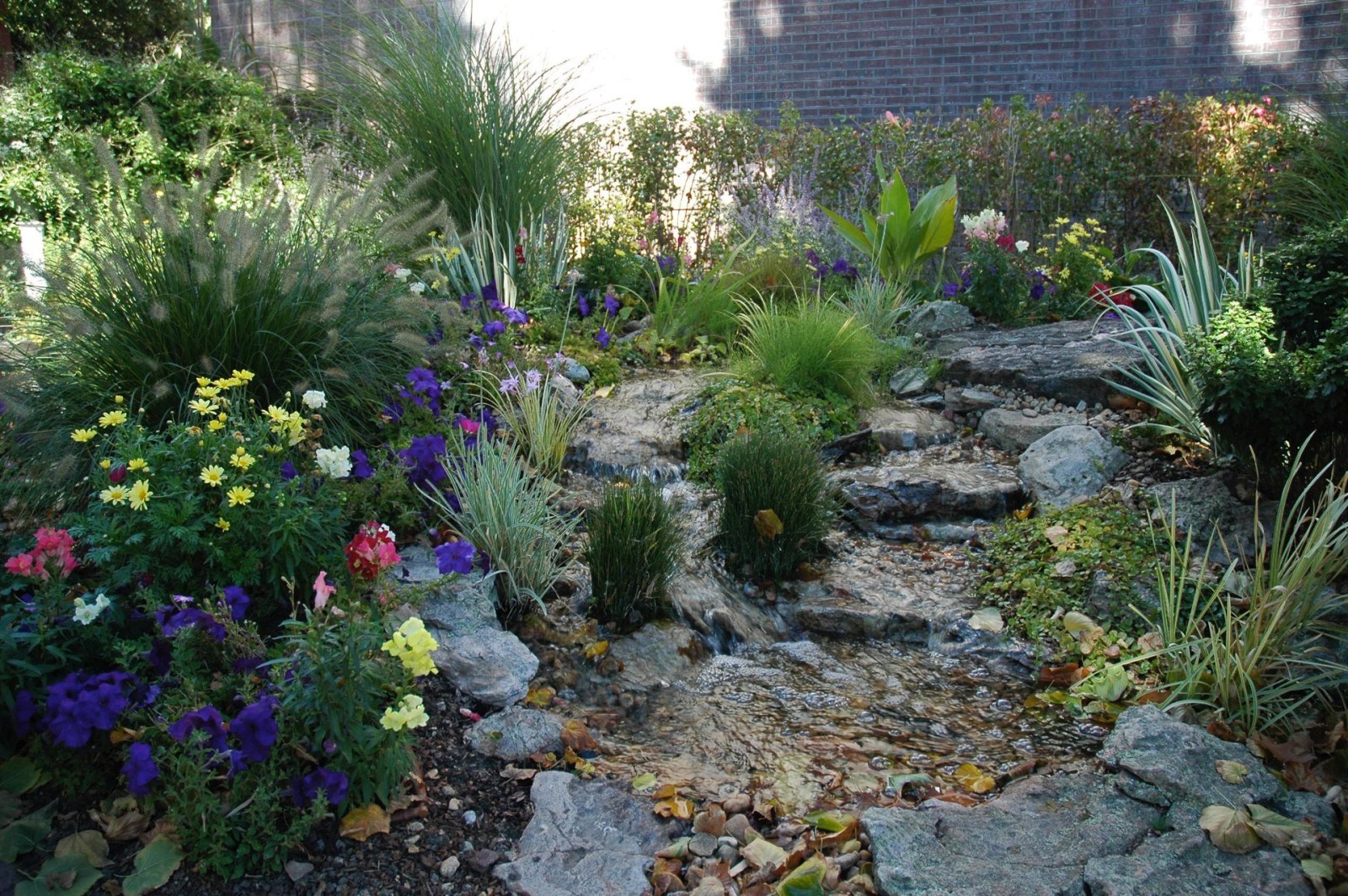 9 News Water Wise Garden Pondless