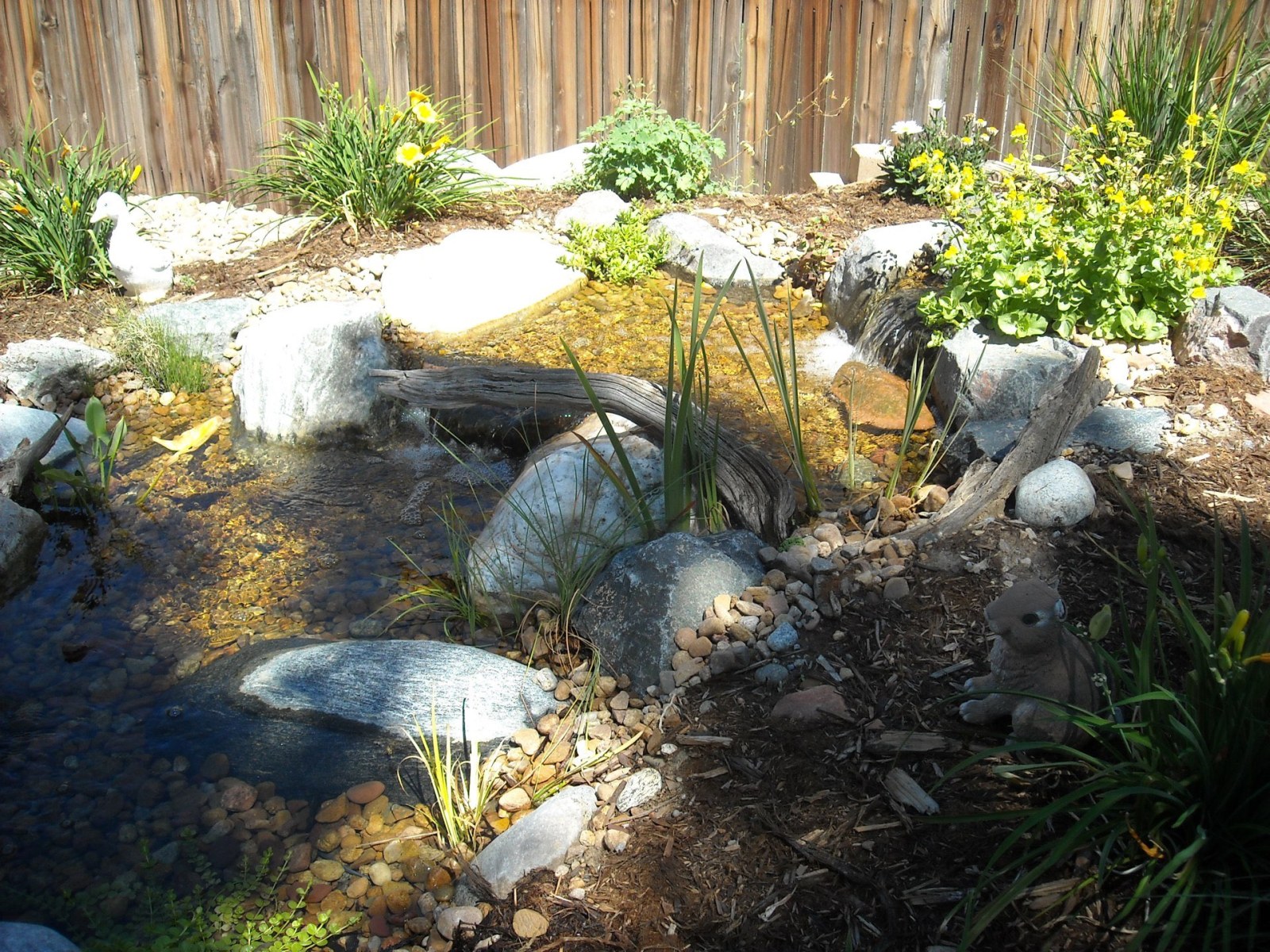 Boulder Pondless