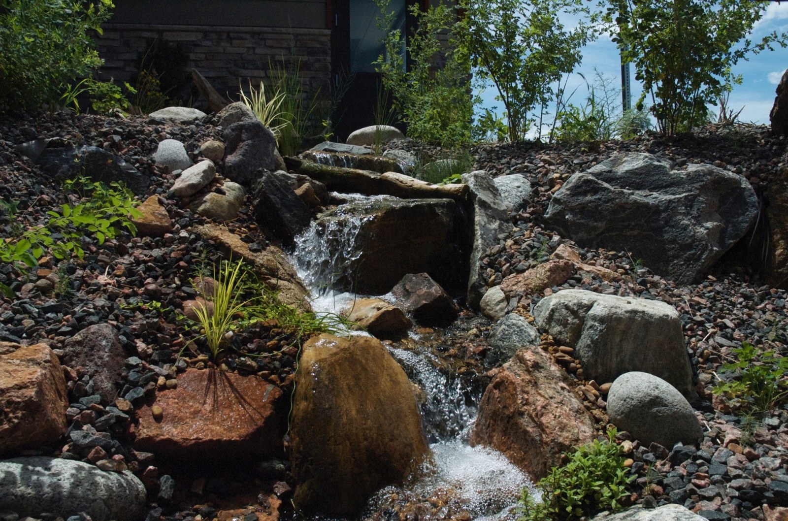 Centennial Pondless