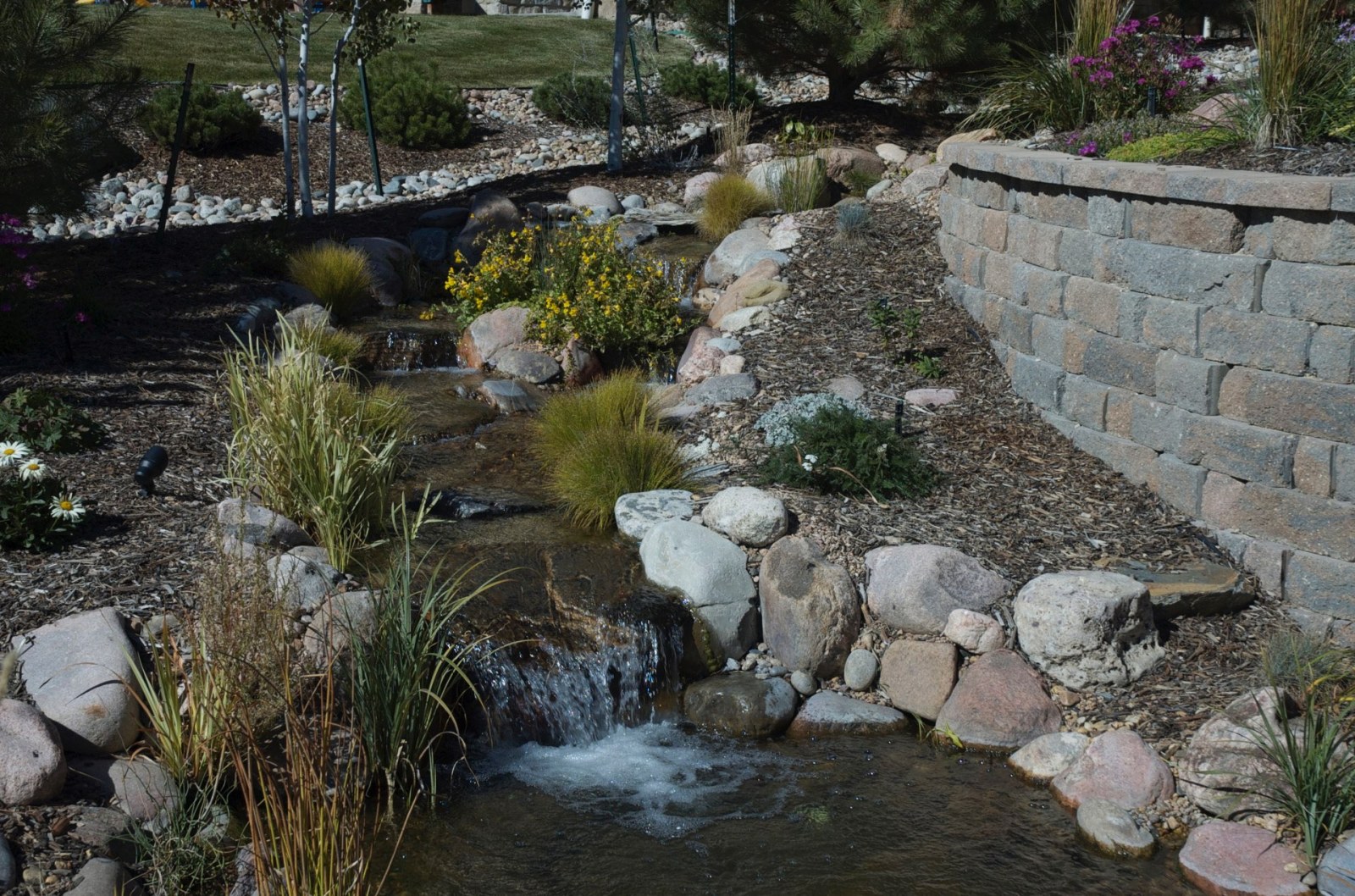 Castle Pines North Pondless