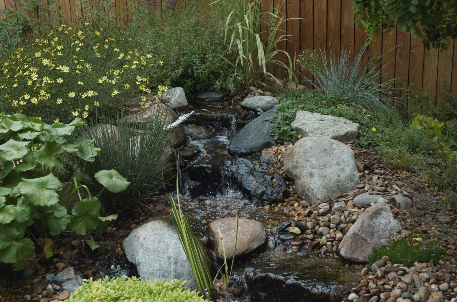 Englewood Pondless