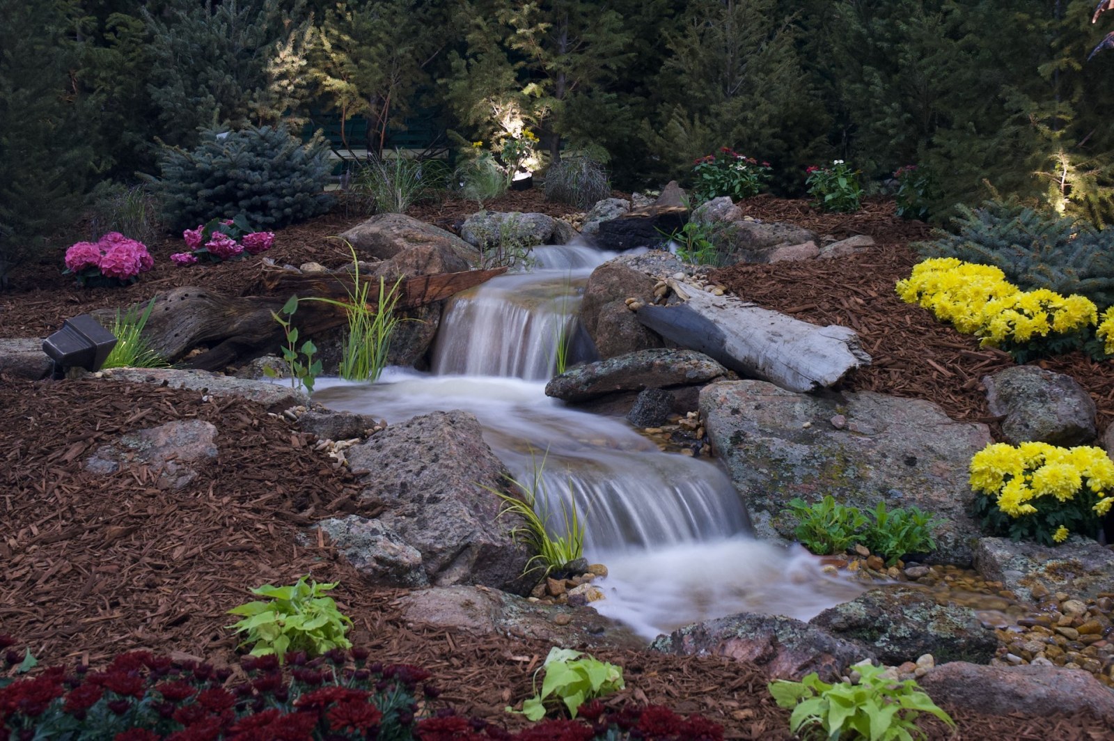 Denver Pondless