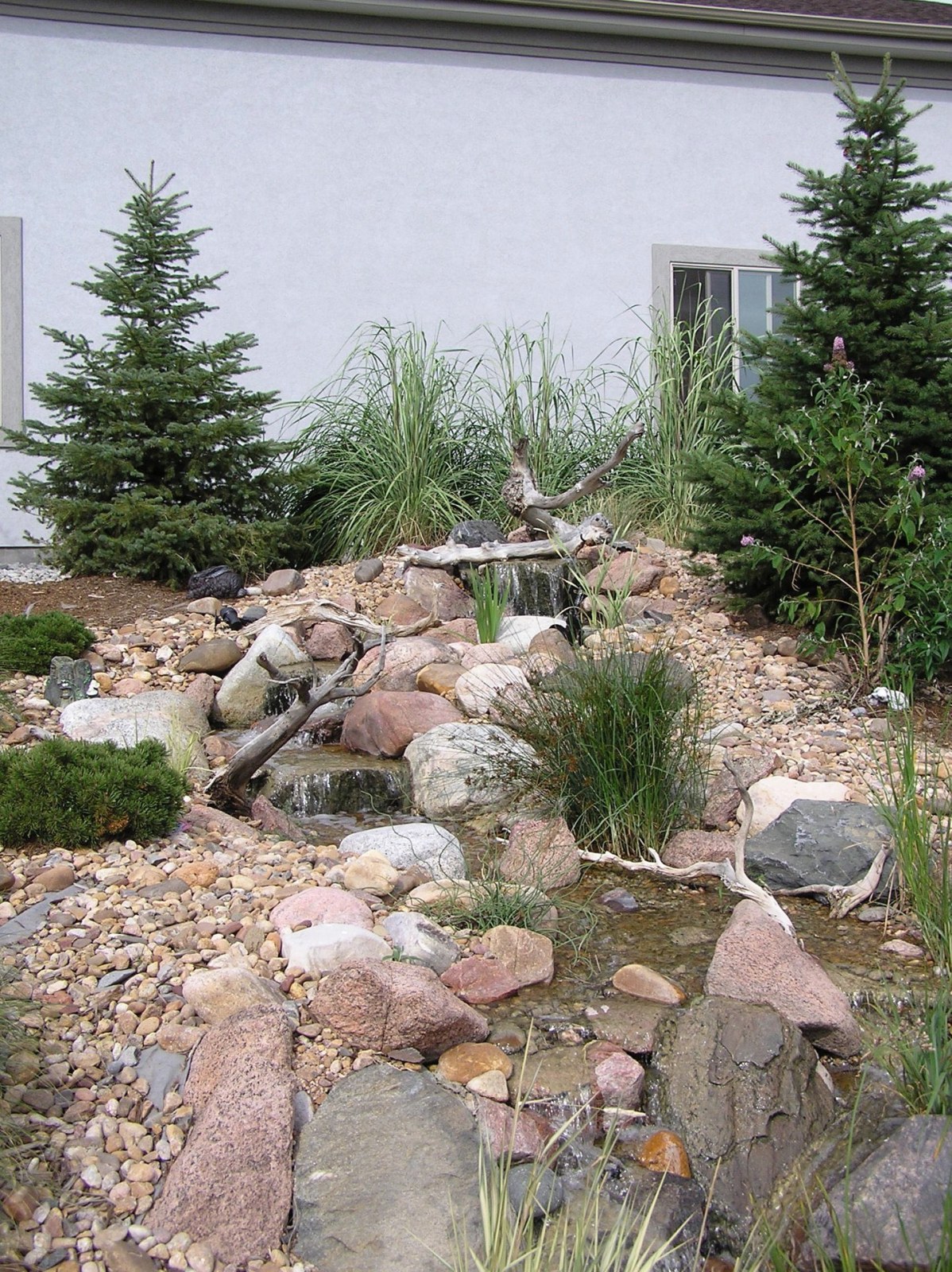 9 News Water Wise Garden Pondless