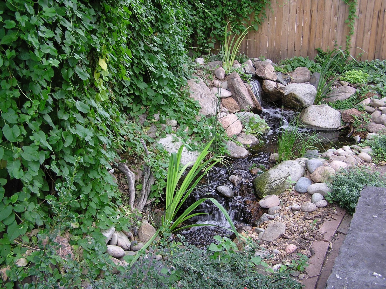 Parker Pondless