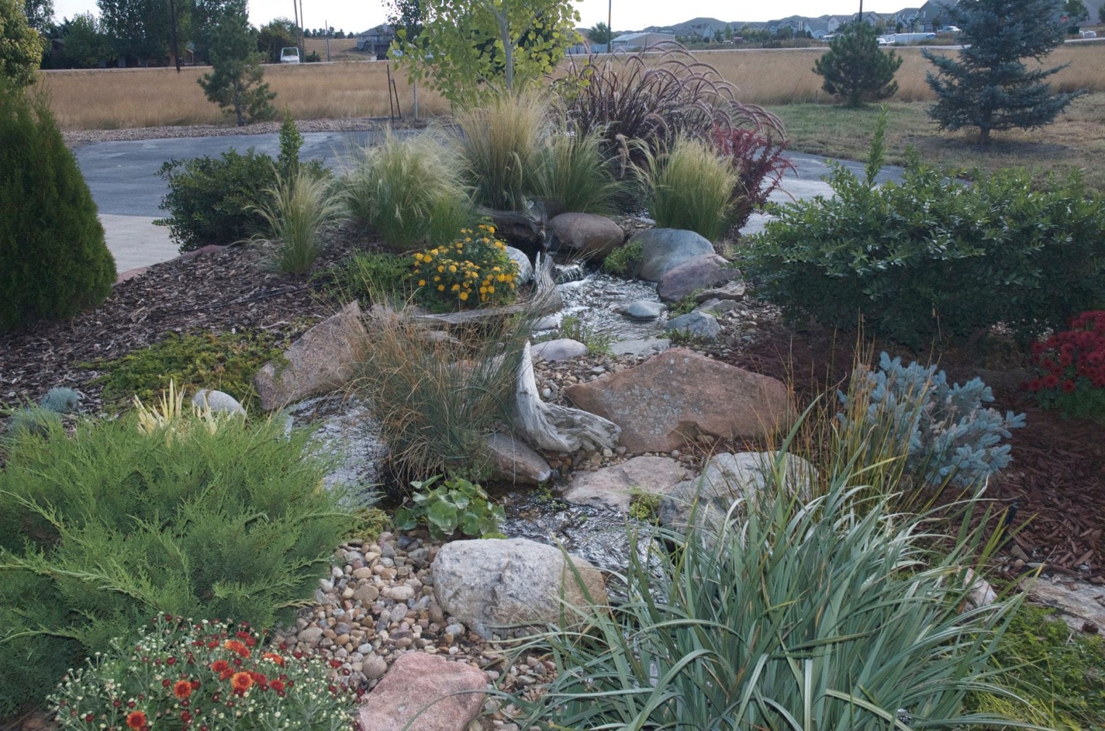 Erie Pondless