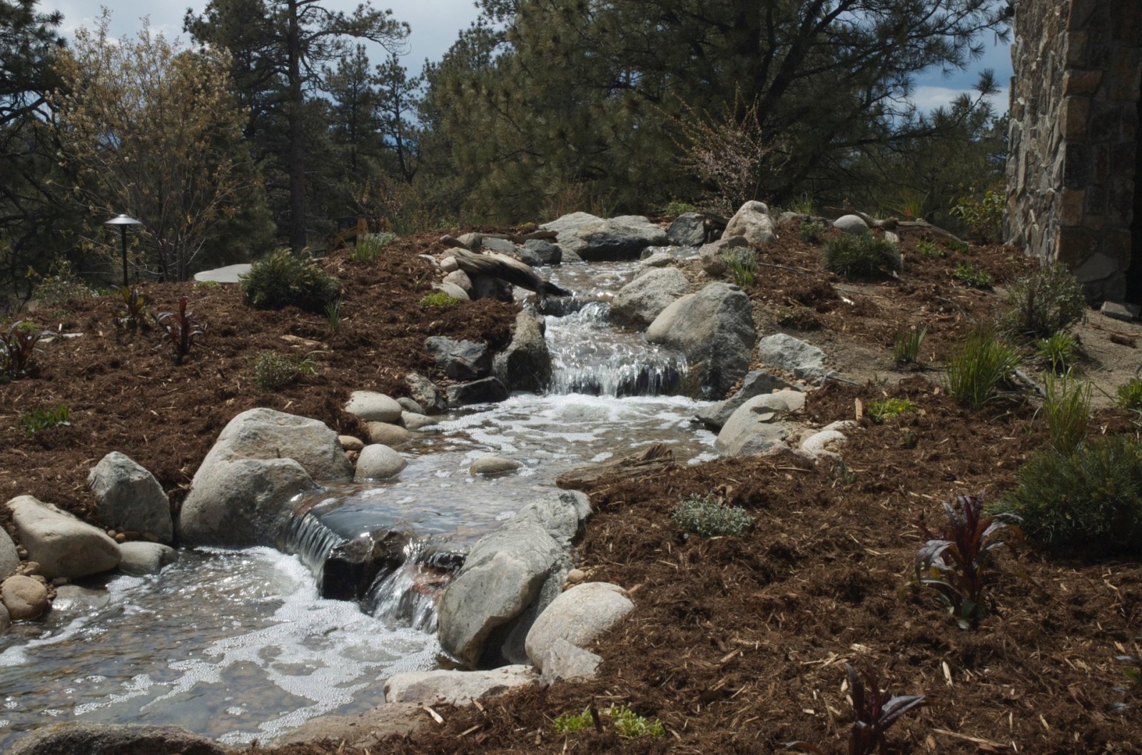 Parker Pondless