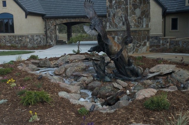 Taking flight from this Parker, Colorado pondless waterfall, these birds seem to be just a paw's length away from capture!